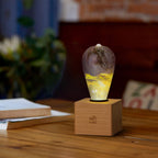 EP Light - Golden-2